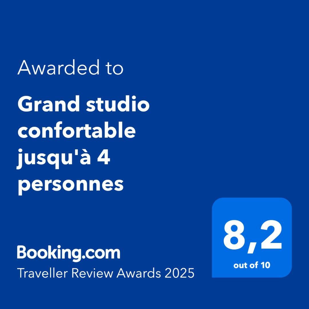 Grand Studio Confortable Jusqu'A 4 Personnes Динь-ле-Бен Экстерьер фото